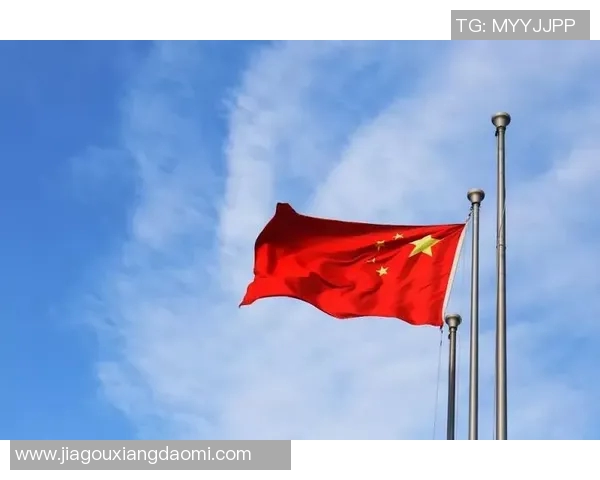 上海羽毛球队的崛起之路与辉煌成就的深度解析与展望