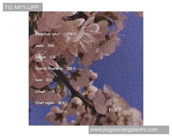 兄弟情深与足球明星的网名故事分享女神们的心动瞬间